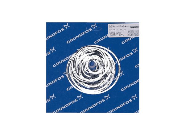 ACCESSORIES FOR GRUNDFOS PUMPS SEG: O-RING PN 96076125
