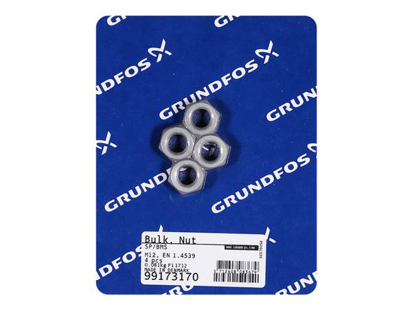 ACCESSOIRES POUR POMPES GRUNDFOS SP-BMS (GROUPAGE, QUANTITÉ 4 PCS): ÉCROU PN 99173170
